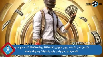 اشحن الآن شدات ببجي موبايل PUBG UC بباقة 12000 شدة مع هدية إضافية عبر ميدياس باي بخطوات بسيطة وآمنة